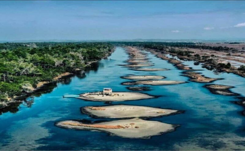 Karavasta:Bird Watching, Tower Views & Lagoon Boat Ride - A Comprehensive Look at the Karavasta Tour Experience