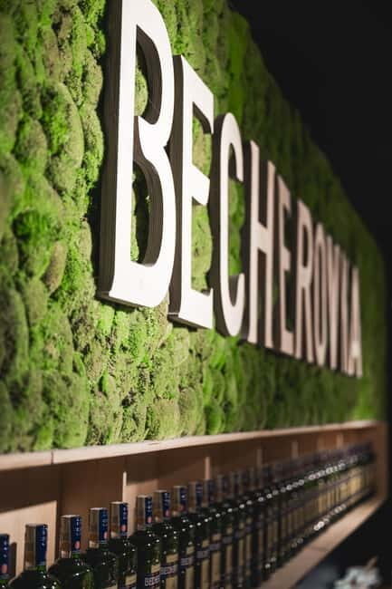 Karlovy Vary: Home of Becherovka Visitor Center Guided Tour - Final Thoughts