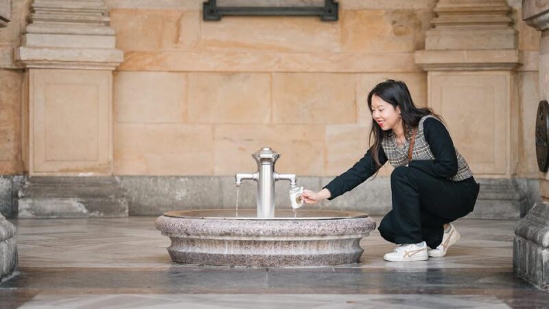 Karlovy Vary: Mineral Hot Springs Tasting and Walking Tour - Why This Tour Works Well