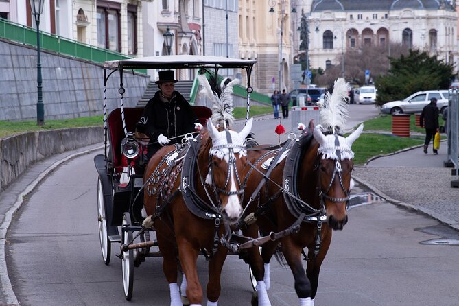 Karlovy Vary - Visit the Most Beautiful Spa Town in Private Tour - Positive Customer Reviews