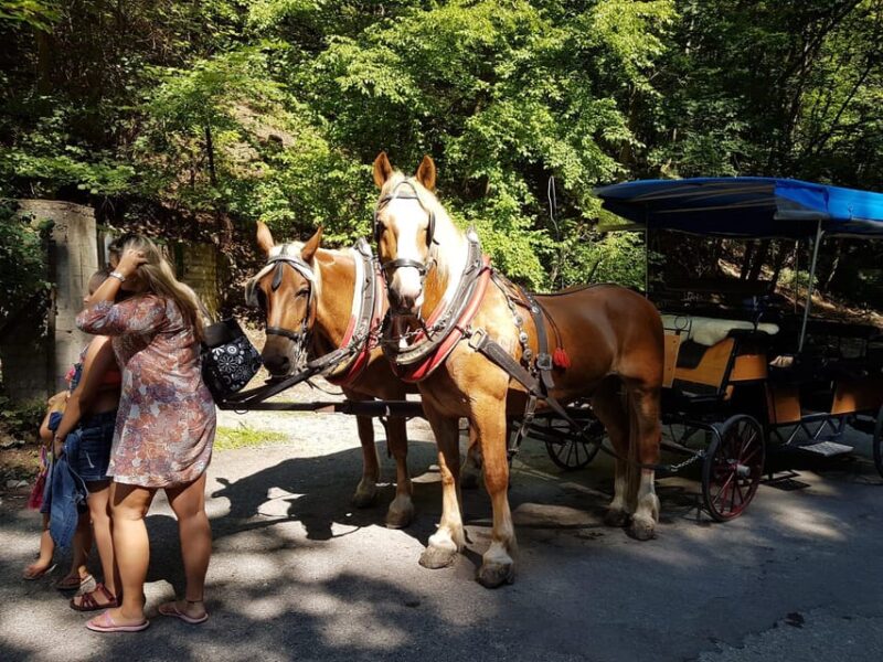 KarlšTejn Castle by Horse Carriage - Understanding the Activity Details