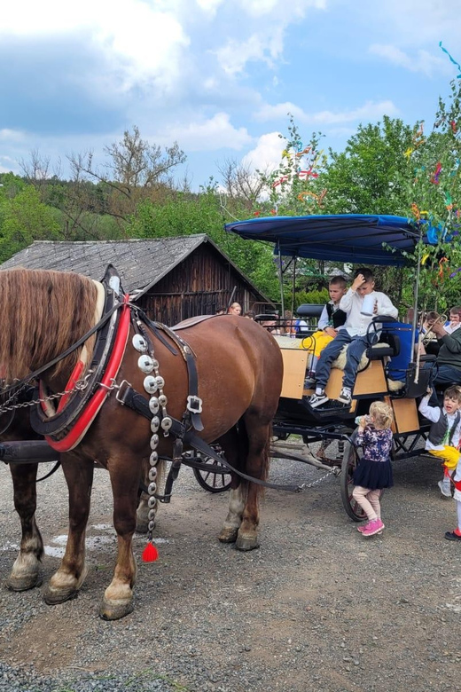 KarlšTejn Castle by Horse Carriage - Itinerary and Finishing Location