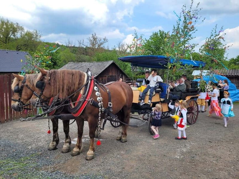 Karltejn and Big America quarry horse carriage tour - Final Thoughts: Who Will Love This Tour?