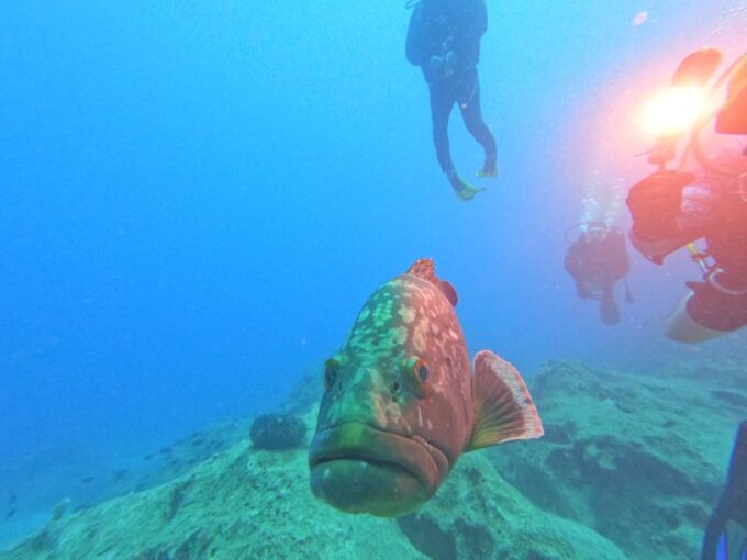 Kas: Scuba Diving Experience - Booking Details