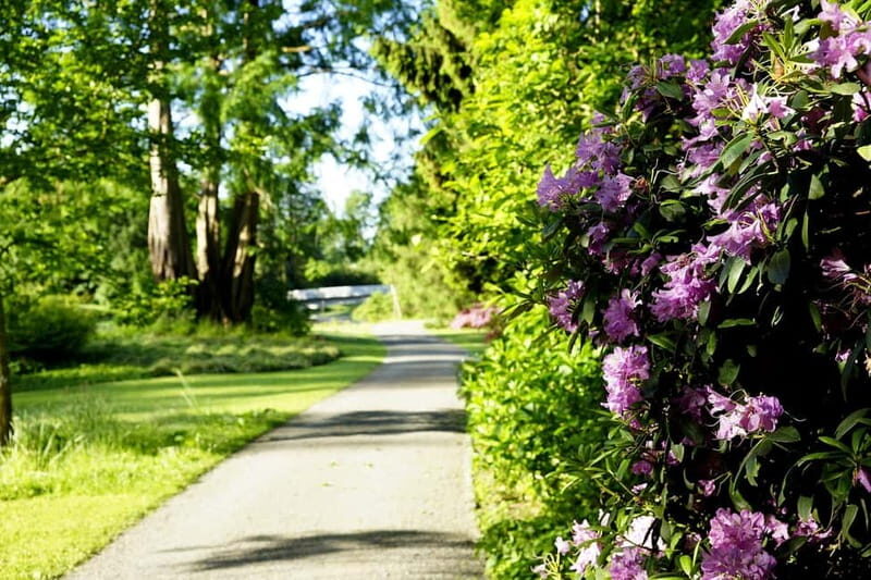 Kassel: Flowers, baroque and art - a walk from the island to the city - Discovering the Heart of Kassel’s Green and Artistic Heritage