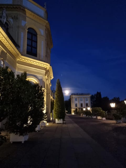 Kassel: Kassel's lost city by night - The Sum Up