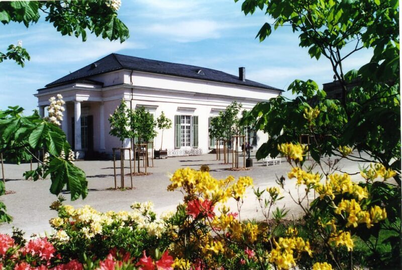 Kassel: pure relaxation and world culture - guided tour of the Bergpark - An In-Depth Look at the Bergpark Wilhelmshöhe Guided Tour
