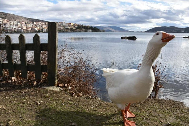 Kastoria: Private Guided City Tour - The Sum Up: Is This Tour Worth It?