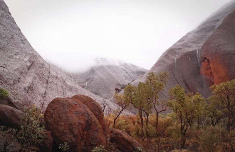 Kata Tjuta Private Guided Sunrise Tour - The Morning Begins: Pickup and Journey into the Desert  