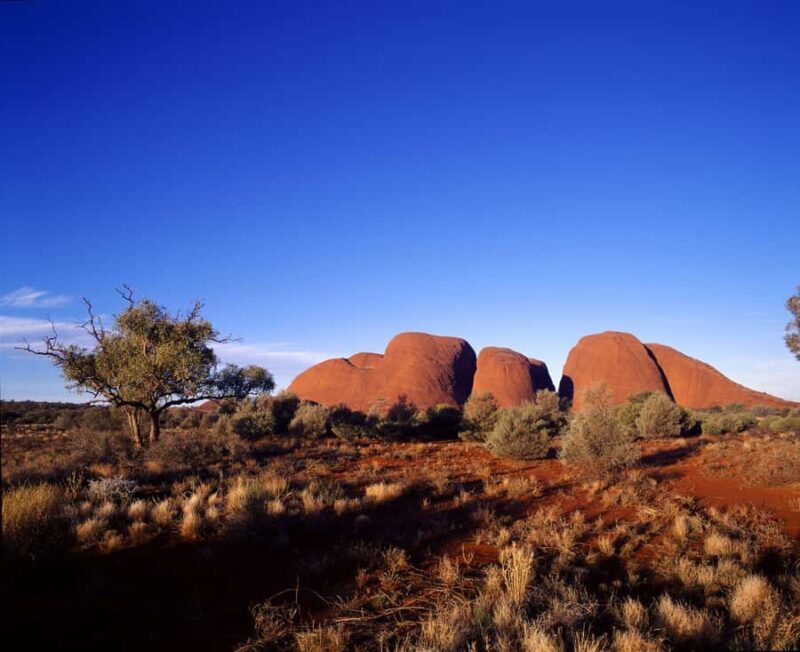 Kata Tjuta Private Guided Sunrise Tour - Exploring Walpa Gorge with a Private Guide  