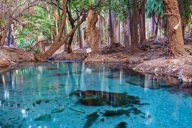 Katherine Gorge - Mataranka - Edith Falls - more... - An Authentic Journey into the Heart of Australia