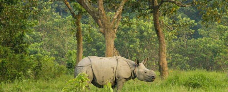 Kathmandu: 1-Way Flight Ticket to Chitwan Bharatpur - Key Points