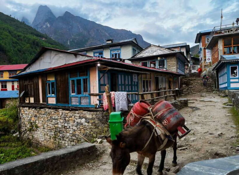 Kathmandu: 15-Day Everest Base Camp Trek with Guide - Why This Trek Offers Good Value