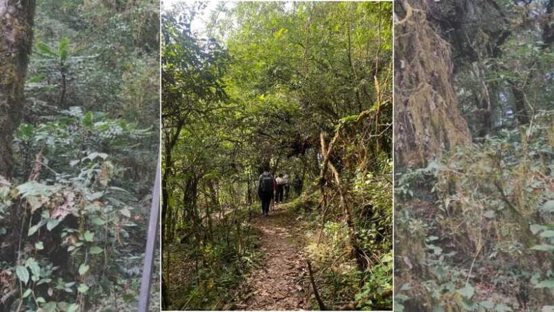 Kathmandu: 2-Day Chisapani and Nagarkot Hiking Tour - An Authentic Himalayan Experience in Just Two Days