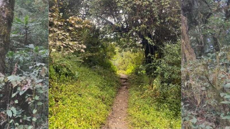 Kathmandu: 2-Day Chisapani and Nagarkot Hiking Tour - Who Would Love This Tour?