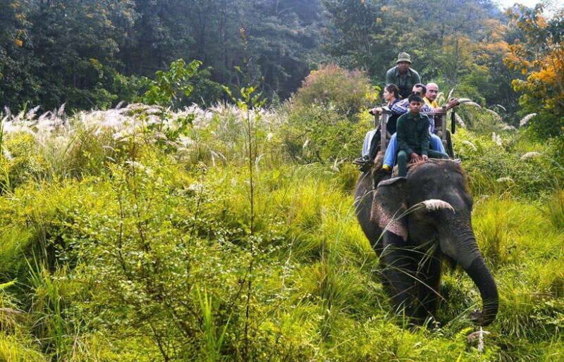 Kathmandu : 2 - Day Chitwan National Park Jungle Safari Tour - Key Points