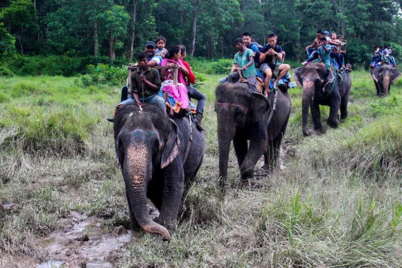 Kathmandu : 2 - Day Chitwan National Park Jungle Safari Tour - Authenticity and Experience