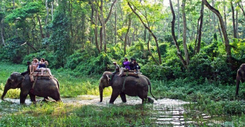 Kathmandu: 3 Day Chitwan Jungle Safari Tour Package - Day 1 Activities