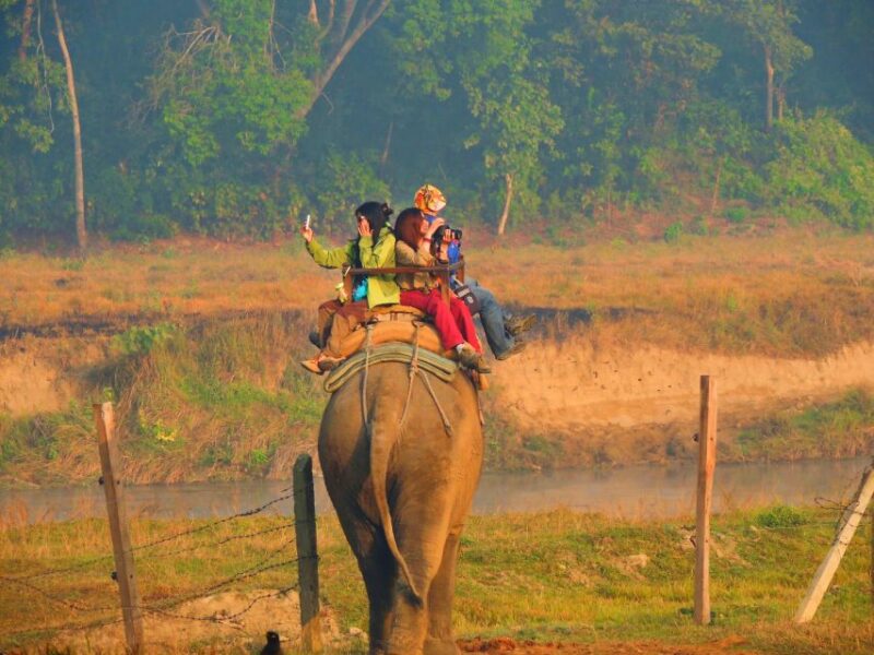 Kathmandu: 3-Day Luxury Trip to Chitwan With 5-Star Hotel - Dining Experience