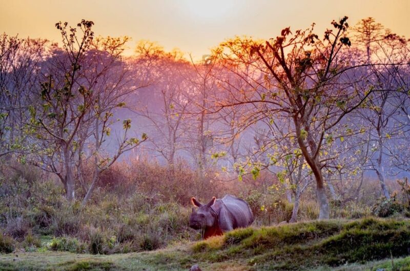 Kathmandu: 4-Days Unesco Sites & Wildlife Safari at Chitwan - Cultural Experiences in Kathmandu