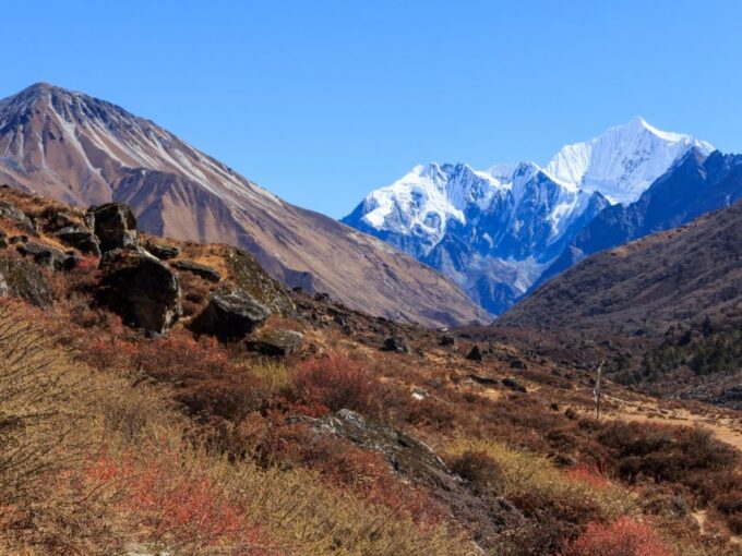 Kathmandu: 6 Days Langtang Valley Trek - Customer Feedback