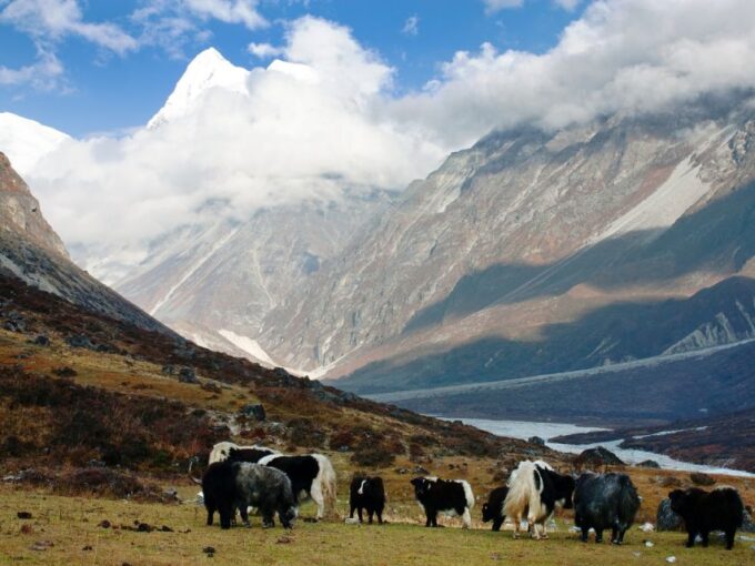 Kathmandu: 6 Days Langtang Valley Trek - Best Time to Trek