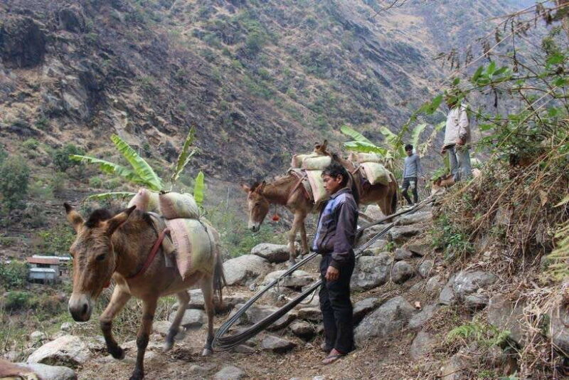 Kathmandu: 9-Day Annapurna Circuit Trek via Thorong La Pass - Frequently Asked Questions
