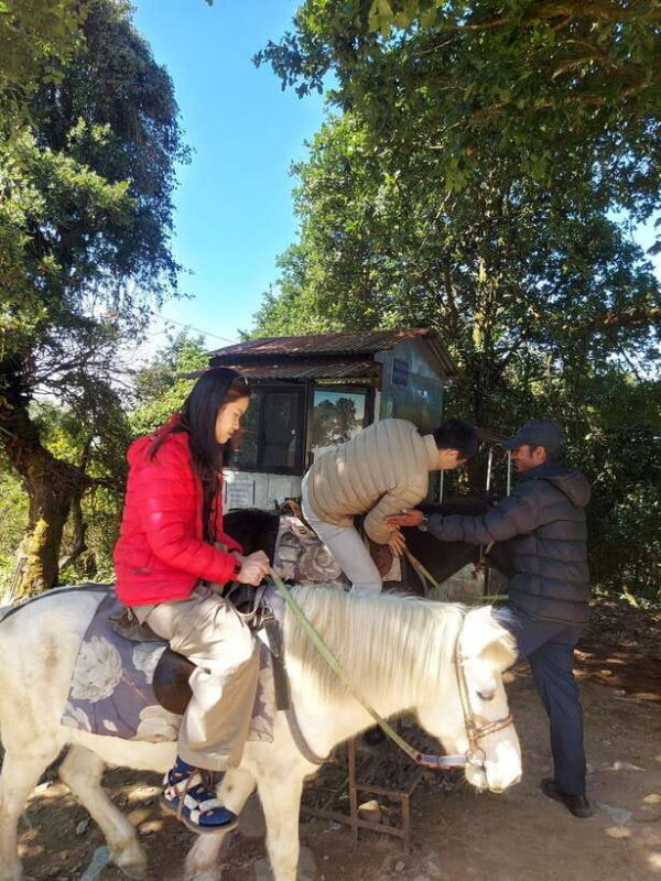 Kathmandu: Cable Car Tour with Forest and Food Walk - Who Should Consider This Tour?