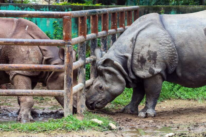 Kathmandu: Central Zoo Tour - An In-Depth Look at the Tour Experience