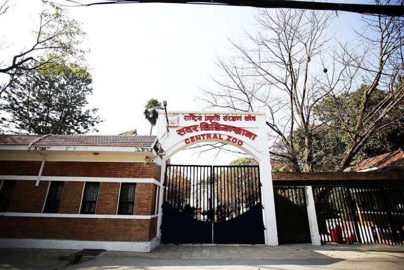 Kathmandu: Central Zoo Tour - Who Should Consider This Tour?