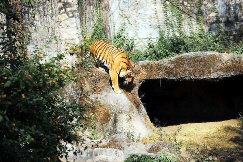 Kathmandu: Central Zoo Tour - Final Thoughts