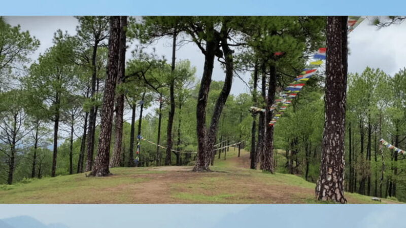 Kathmandu: Fresh air Hiking at Kapan-Jagdol-Nagi gumba - Final Thoughts