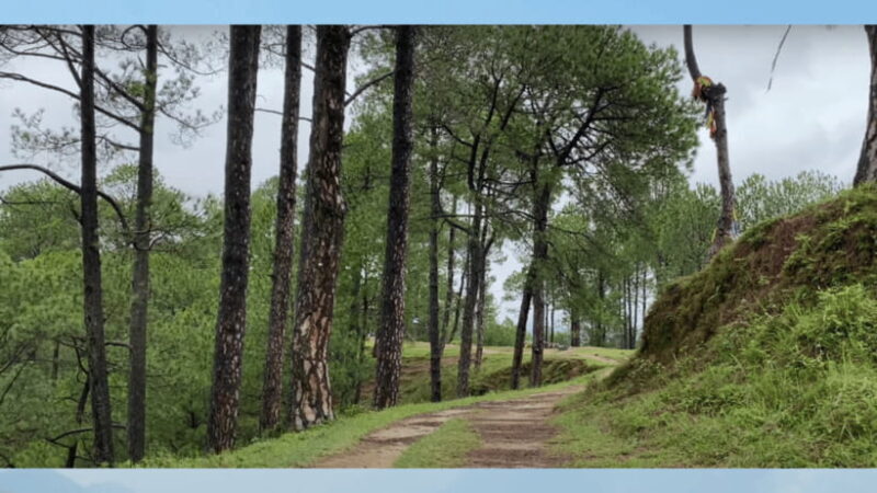 Kathmandu: Fresh air Hiking at Kapan-Jagdol-Nagi gumba - FAQ