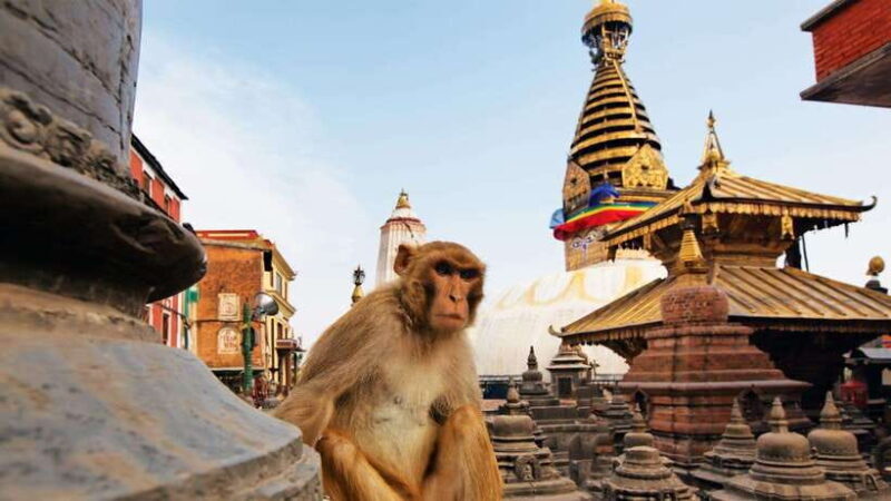 Kathmandu: Full-Day Budget Bus Tour of Kathmandu Valley - Detailed Breakdown of the Tour Experience