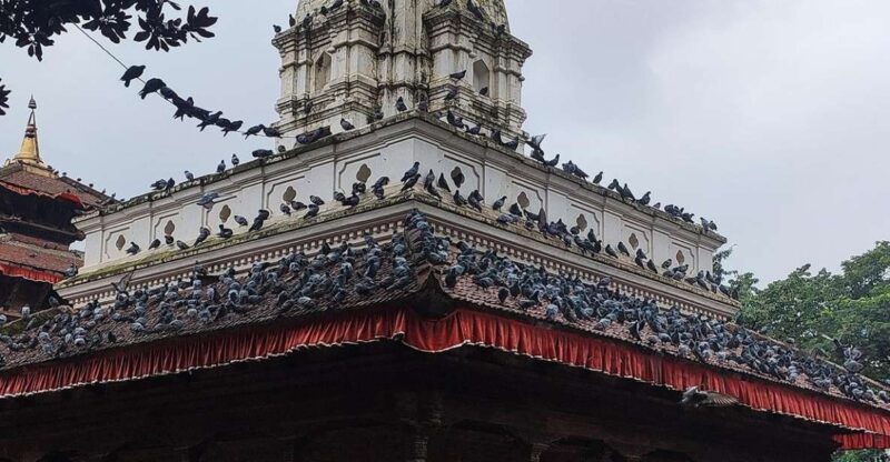 Kathmandu Full Day Tour - Itinerary Highlights