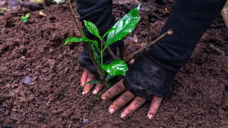 Kathmandu: Hike Jamachwok & Tree Planting for Carbon Neutral - Important Participant Guidelines