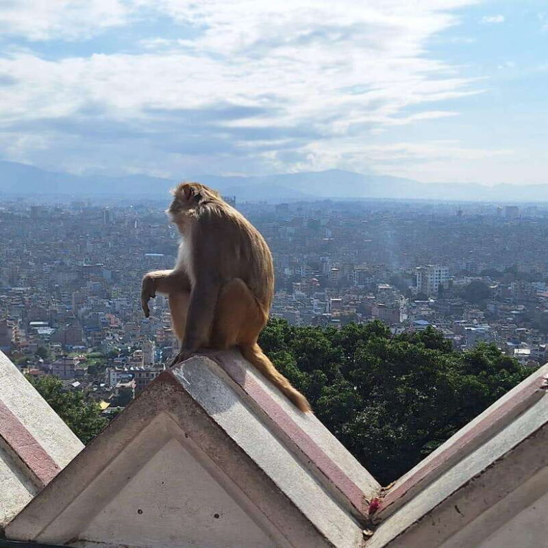 Kathmandu: Inner City Tour with 3 UNESCO World Heritage - Key Points