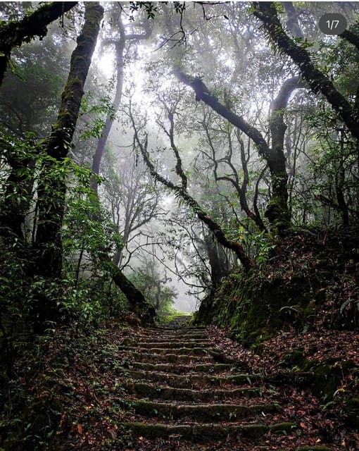 Kathmandu: Jamacho( Nagarjung Danda) Day Hike - Adventure Trail Description