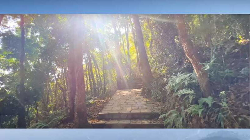 Kathmandu: Jamacho One day Nature walk with Guide - An Honest Look at the Jamacho Day Walk