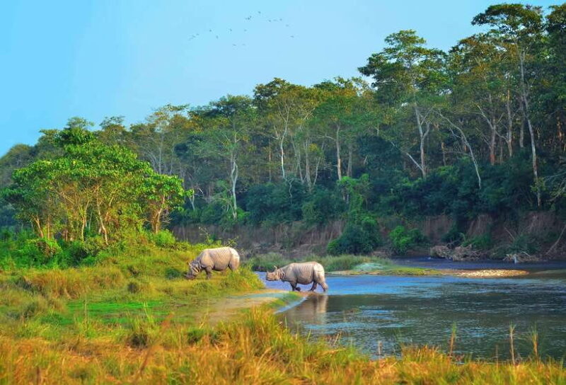 Kathmandu/Pokhara: 3 Day Chitwan Jungle Safari Tour - Kathmandu/Pokhara: 3 Day Chitwan Jungle Safari Tour