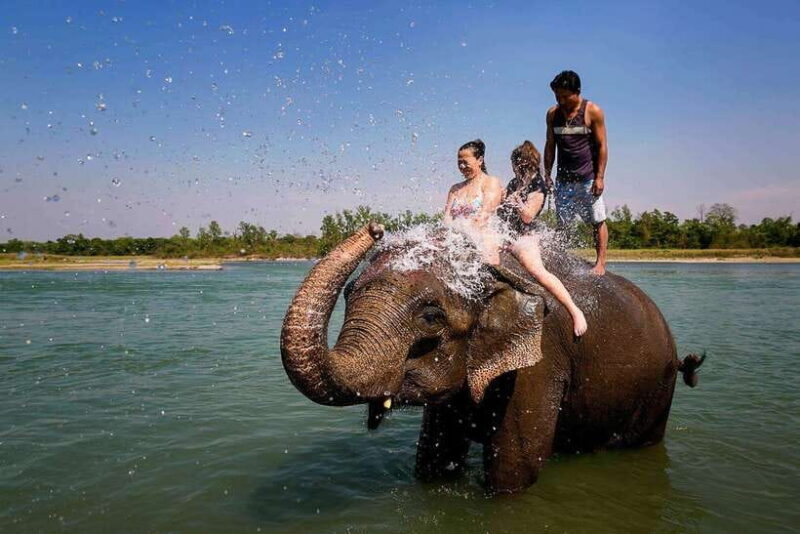 Kathmandu/Pokhara: 3 Day Chitwan Jungle Safari Tour - The Bottom Line
