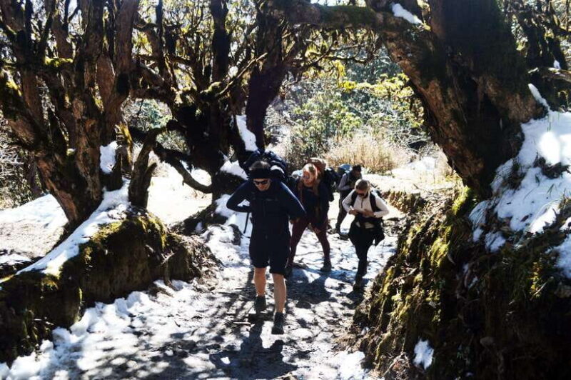Kathmandu/Pokhara: 5-Day Mardi Base Camp (MBC) Trek - Key Points
