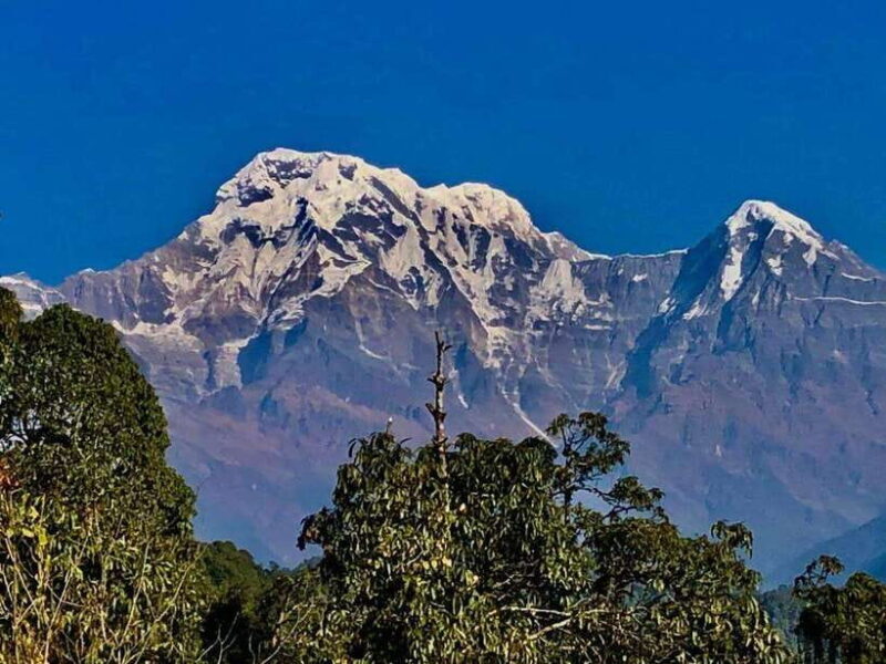 Kathmandu: Rapid Ghorepani Poon Hill Trek with Guide - Day-by-Day Breakdown