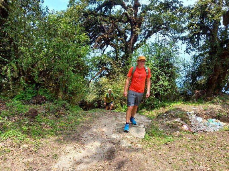 Kathmandu: Shivapuri Day Hike with Lunch - An Introduction to the Shivapuri Day Hike