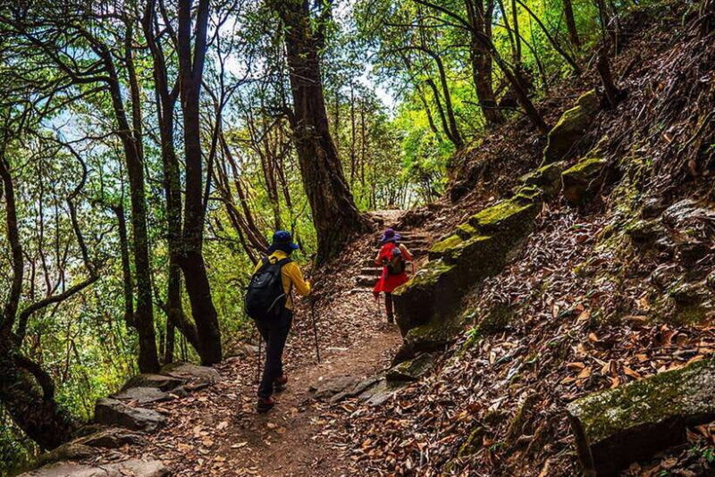Kathmandu: Shivapuri Day Hike with Lunch - The Practical Side: Transportation, Cost, and Timing