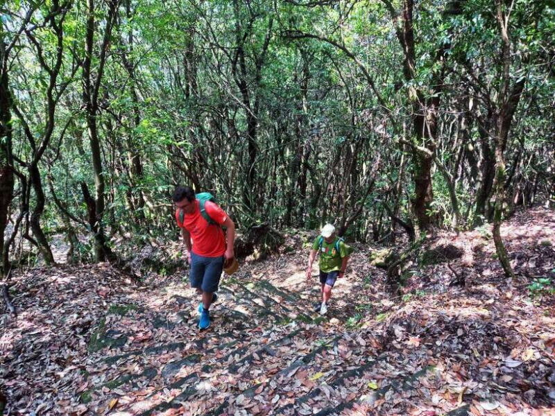 Kathmandu: Shivapuri Day Hike with Lunch - Who Should Consider This Tour?