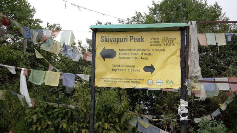Kathmandu: Shivapuri National Park Day Hike - Who Will Love This Tour?