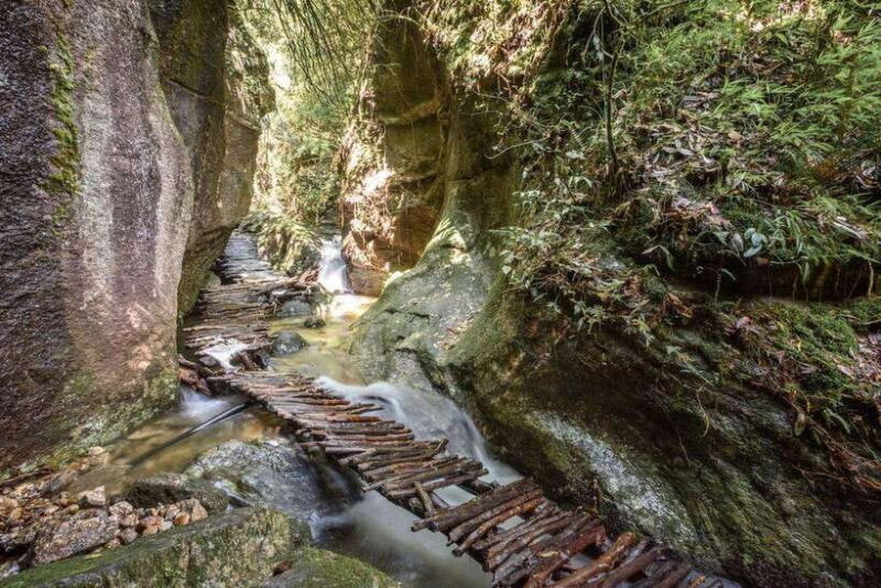 Kathmandu: Shivapuri National Park Day Hike with Lunch box - The Itinerary in Detail