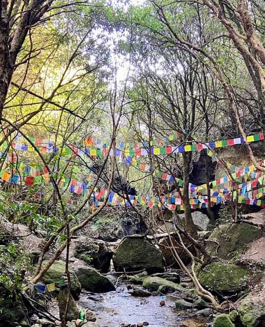 Kathmandu: Shivapuri National Park Day Hike with Lunch box - Whats Included and Whats Not