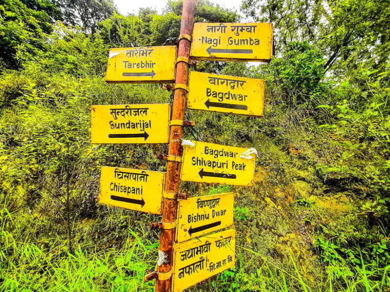 Kathmandu: Shivapuri National Park Day Hike with Lunch box - Authentic Experiences and Feedback from Travelers